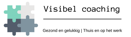 Logo Visibel puzzel-01